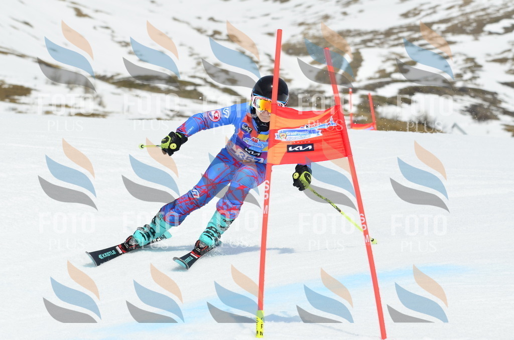 _ELE2783 | holidayphoto