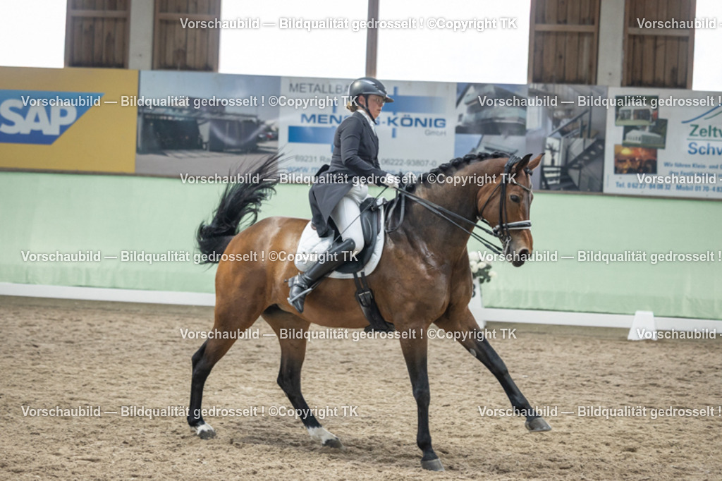 _D5A6362 | Emotionale Pferde- & People-Fotografie rund um Heidelberg, Leimen & Umgebung. Natürliche Fotos von Pferd, Mensch & Familie. Jetzt Termin sichern!