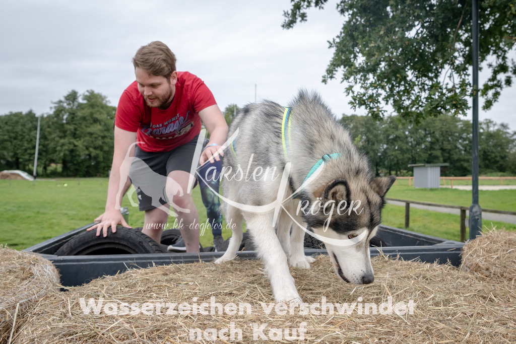 1219_ZZ90281 | kk-dogfotos