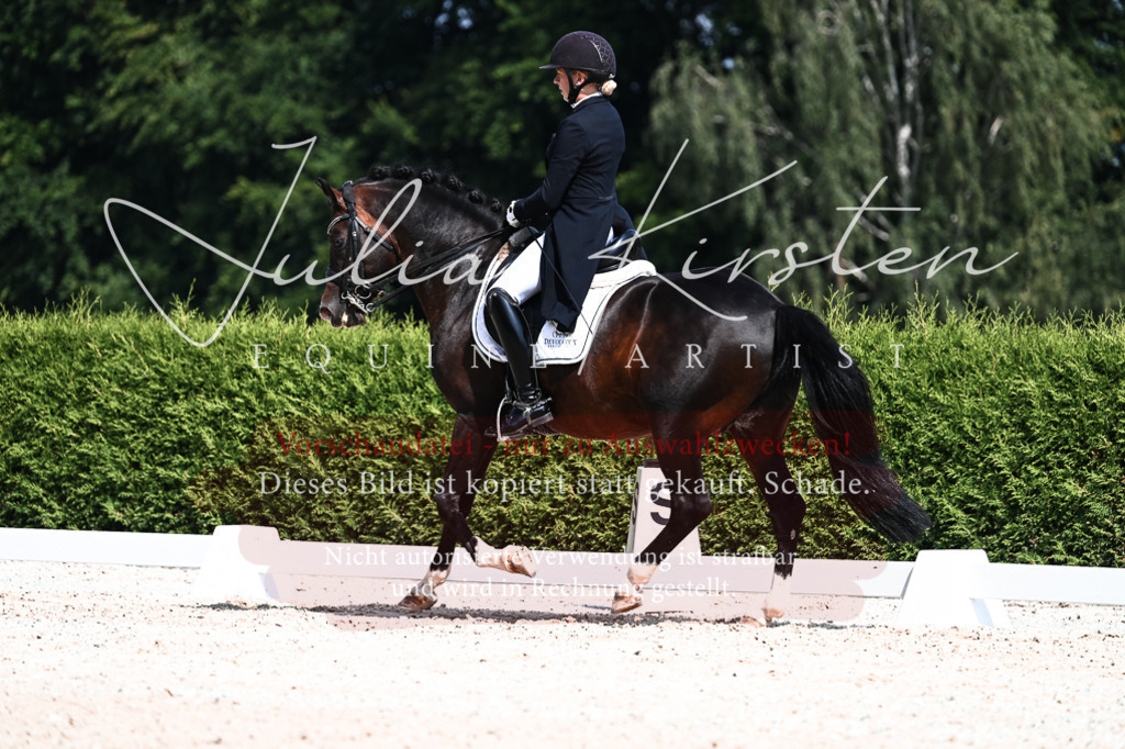 DSC_2958 | Pferde- und Turnierfotografie in Westsachsen. Pferdeportraits, Auftragszeichnungen und intuitive Kunst.