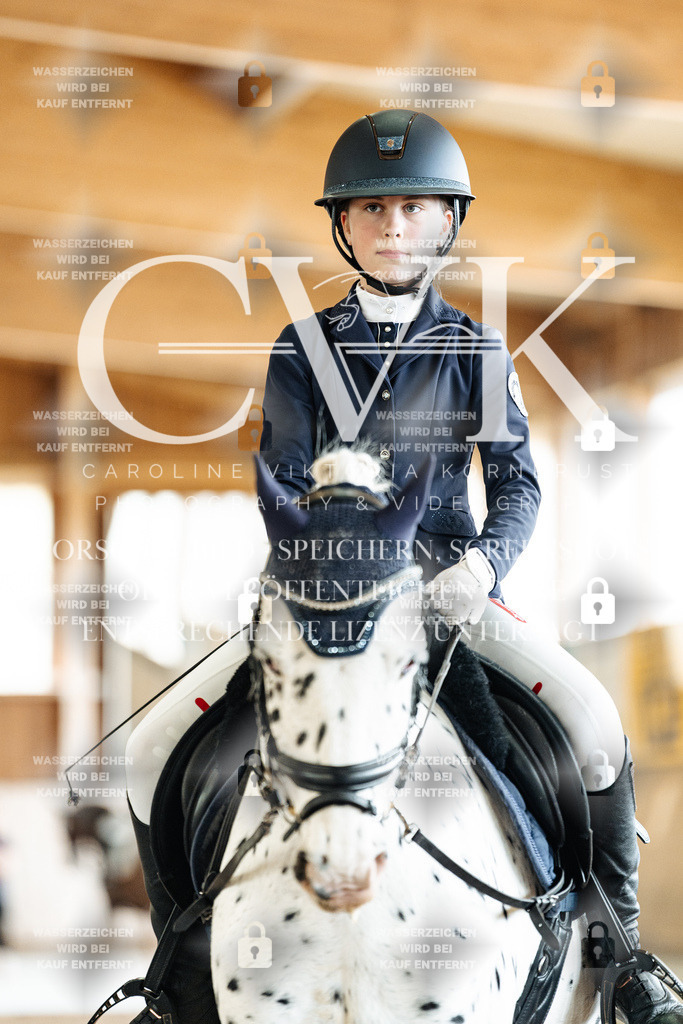 CK901470 | Turnierfotografie Pferdefotografie Trier Rheinland-Pfalz Pferdesport Reitsport Tierfotografie Sportfotografie Pferdevideo Pferdevideografie Equestrianvideography equestrianphotography  - Realisiert mit Pictrs.com
