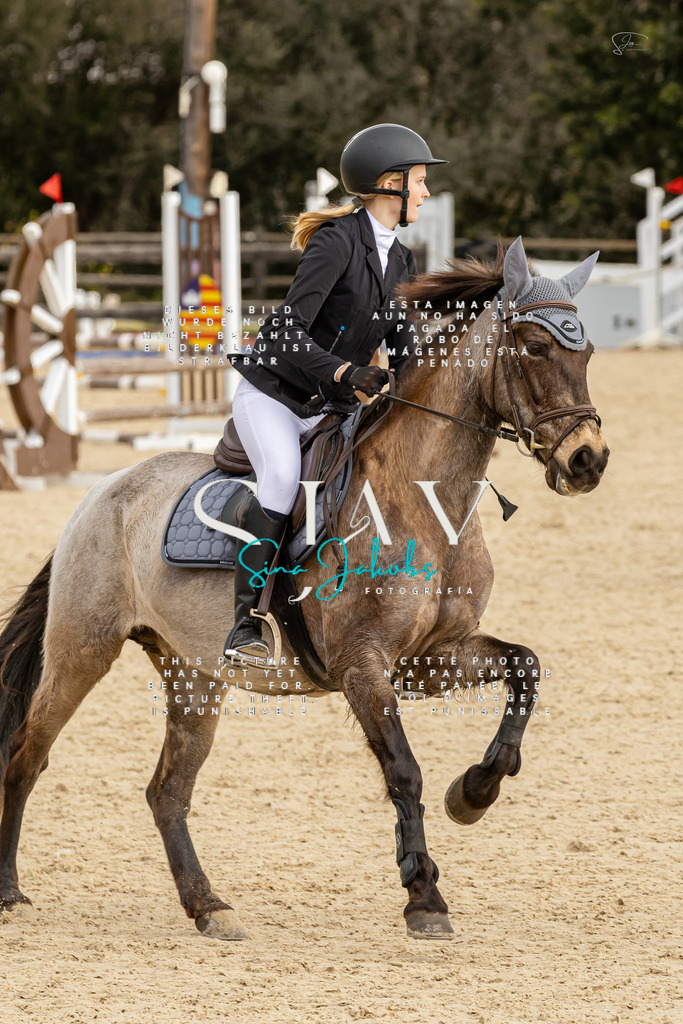 IMG_4519 | s-jay-photography - Realisiert mit Pictrs.com