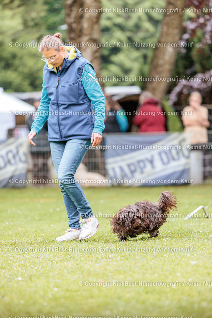 RO-Blumenthal-2026-Nickbest-Hundefotografie-0344 | Dein Hund! Dein Moment! Deine Erinnerungen! Hundefotografie in Bremen Blumenthal. Ich fange die besonderen Momente deines Vierbeiners ein – ob Indoor mit Blitzanlage oder in der freien Natur. Sicher dir dein Moment und dein Termin für eure Erinnerungen.