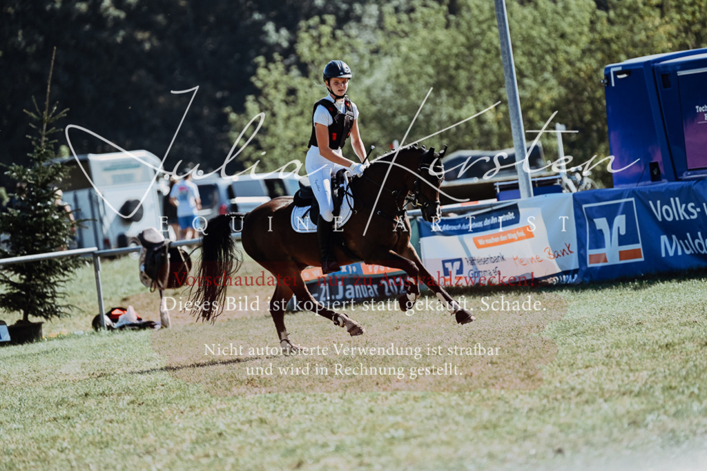 DSC_6832 | Pferde- und Turnierfotografie in Westsachsen. Pferdeportraits, Auftragszeichnungen und intuitive Kunst.
