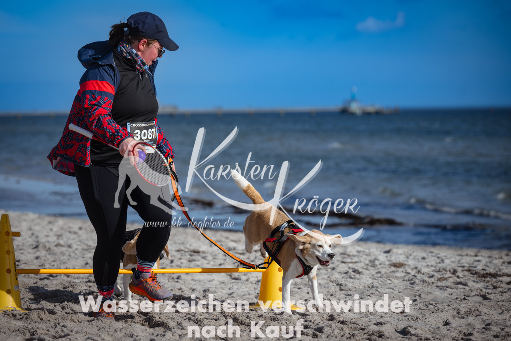 1332_ZZ91832 | kk-dogfotos