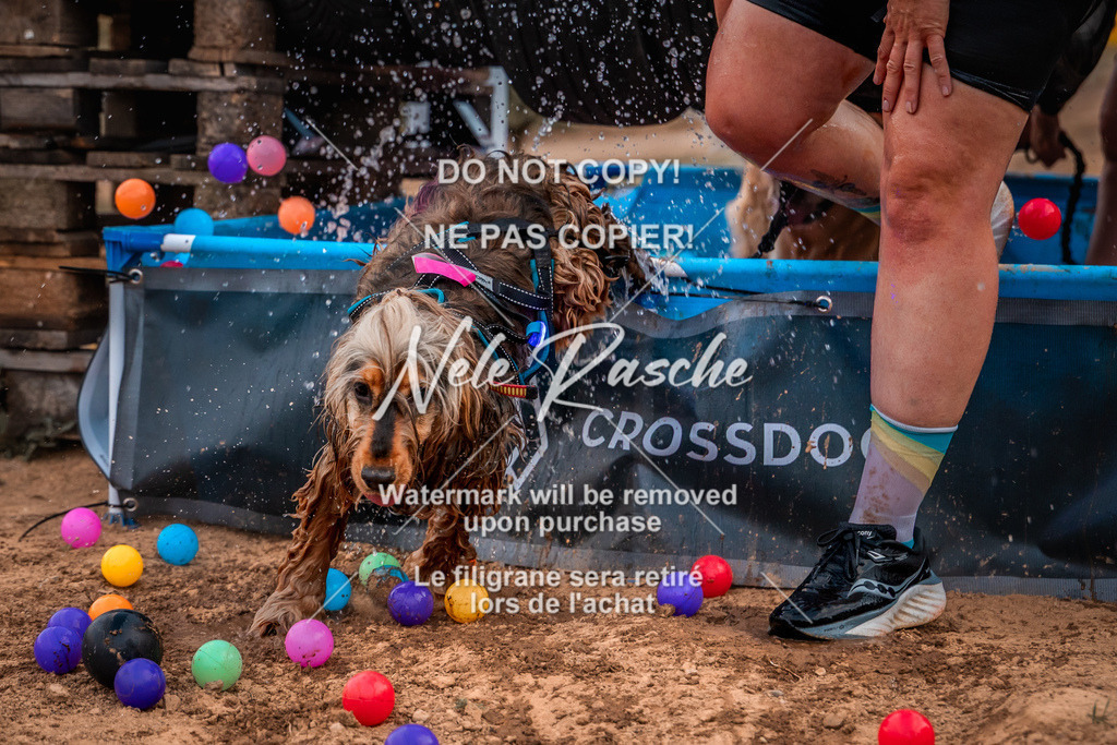 nelerasche_SummerNights26-Sa2000-2100_43 | nelerasche