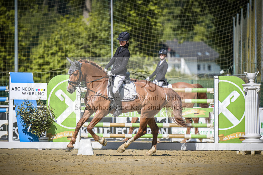 DOS_4419 | Entdecke hochwertige Reitturnierfotos von Foto Oger. Professionell, emotional und authentisch – jetzt Lieblingsmomente im Shop bestellen.Deutschlandweite Turnierfotografie. - Realisiert mit Pictrs.com