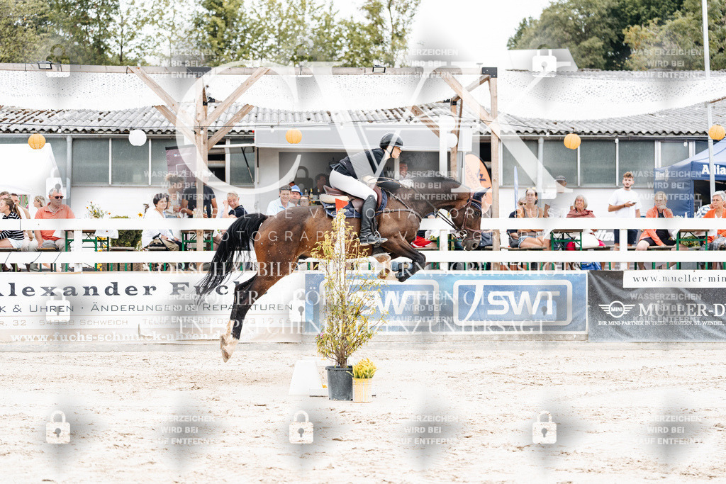 CK906377 | Turnierfotografie Pferdefotografie Trier Rheinland-Pfalz Pferdesport Reitsport Tierfotografie Sportfotografie Pferdevideo Pferdevideografie Equestrianvideography equestrianphotography  - Realisiert mit Pictrs.com