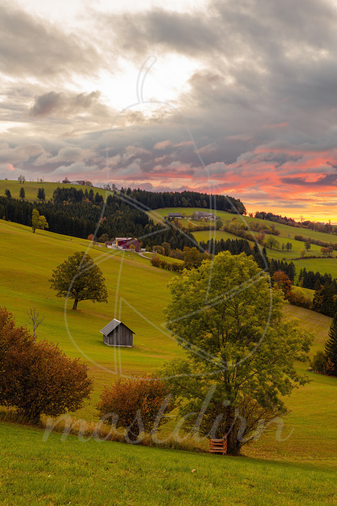 Herbst am Franzenreitherberg | Bei Veröffentlichung des Bildes ist eine Namensnennung wie folgt erforderlich: Foto: Mostdirn Irmgard Wieser - Realisiert mit Pictrs.com