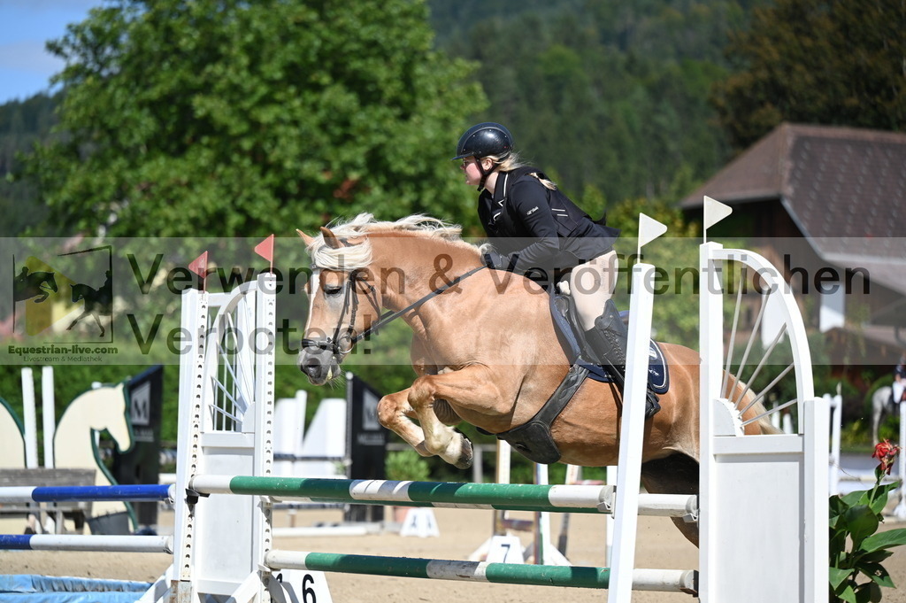 DSC_8244 | equestrian-live-com