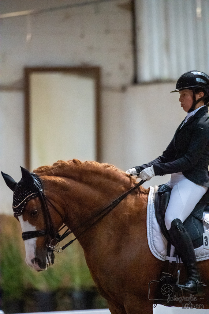 Helle Nymphenburger Dressurtage | Sophie-Celine-Viktoria Richter auf dem Pferd Palinkas Red (Startnummer 319); Helle Nymphenburger Dressurtage am 01.10.2023; in Bad Zwischen (RC Helle), Photo: Philip Eiben 2023 - Realisiert mit Pictrs.com