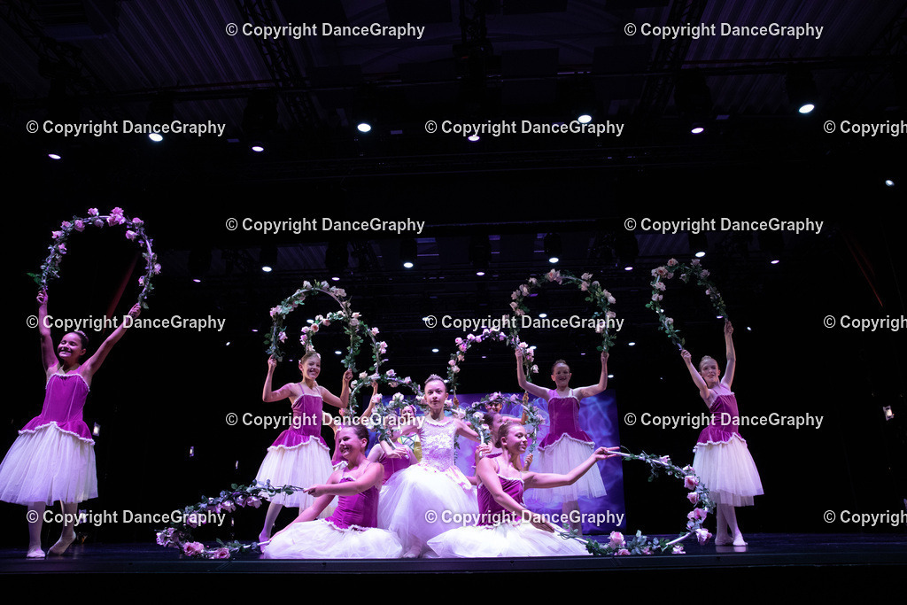 GPHY6002 | DanceGraphy - Realisiert mit Pictrs.com