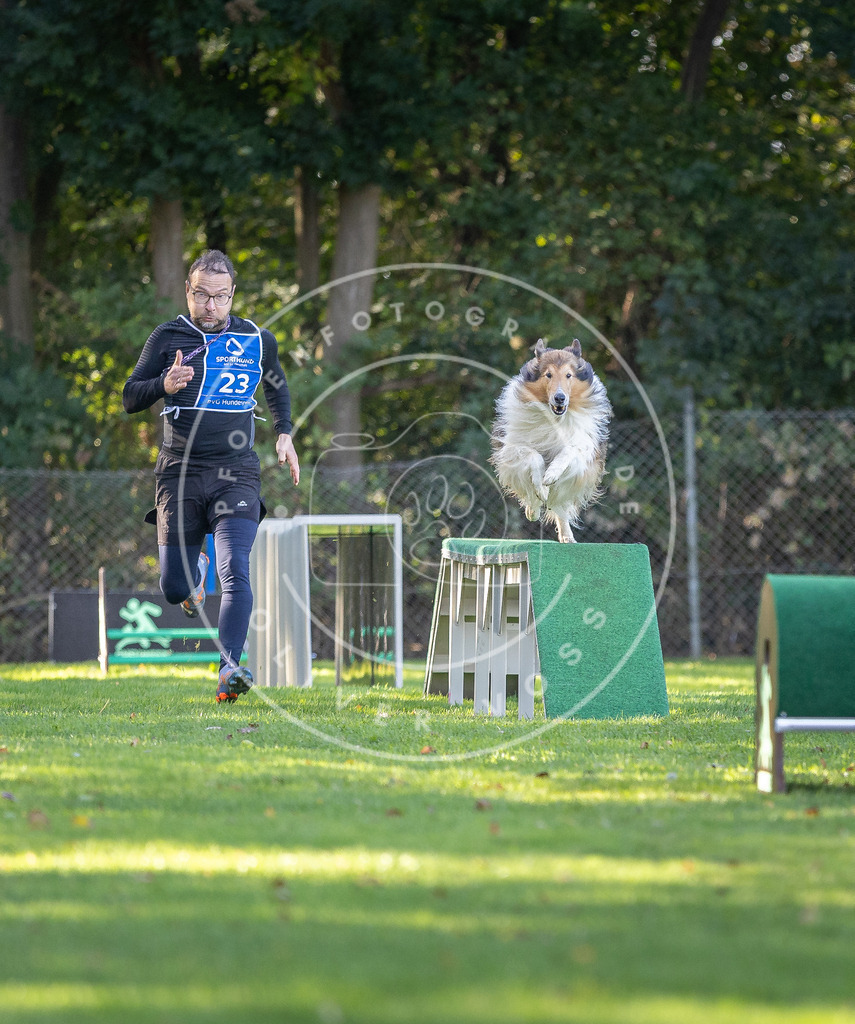 Pfotenfotografie.de_DV3A3492 | Hundefotografie, Tierfotograf, Pfotenfotografie, Fotoshooting Hund, Hunde Portrait, Hundesport, Hundeportraits, Heideshooting, Hunde, Sportfotograf, Hundefotograf, Turnierhundsport, THS, canicross - Realisiert mit Pictrs.com