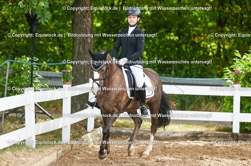 20230716_10-1_Reiter-WB Schritt - Trab - Galopp_0177 | equistock