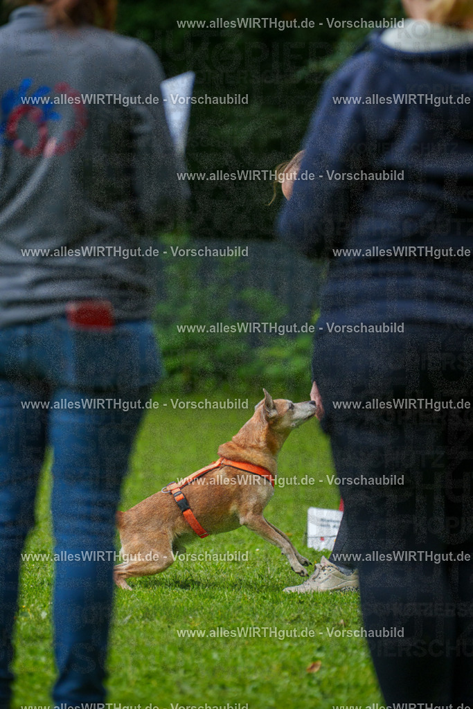 @allesWIRTHgut_Tierfotografie - www.allesWIRTHgut.de - 7R502039 | Professionelle Tierfotografie in Mönchengladbach von Daniel Wirth (allesWIRTHgut). Liebevolle & natürliche Bilder von Hunden & Katzen für unvergessliche Erinnerungen.