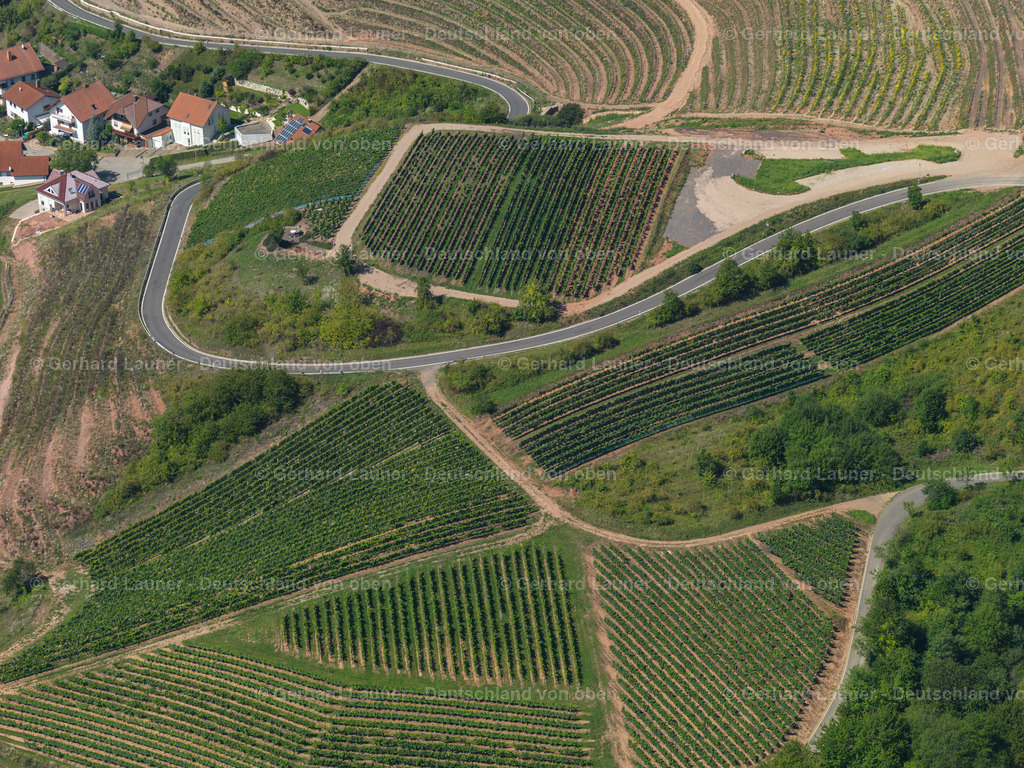 3197271 | Weinberg bei Wallhausen