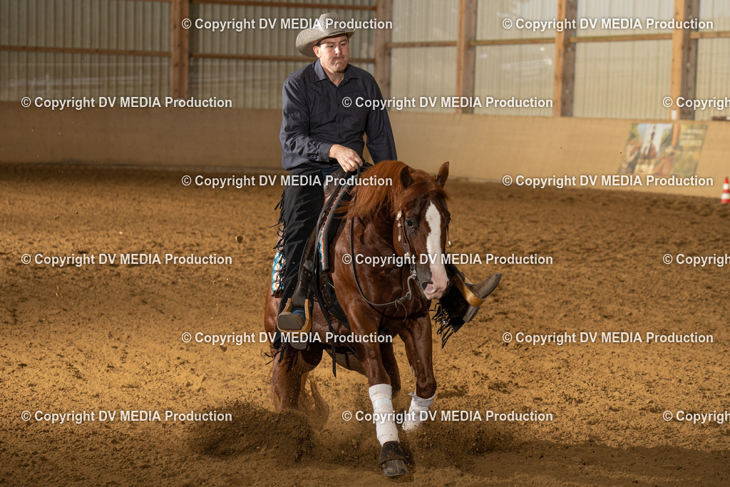 LAU01026 | dv-media-shop - Realisiert mit Pictrs.com