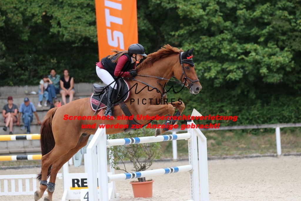 IMG_2828 | lmwpictures - Realisiert mit Pictrs.com