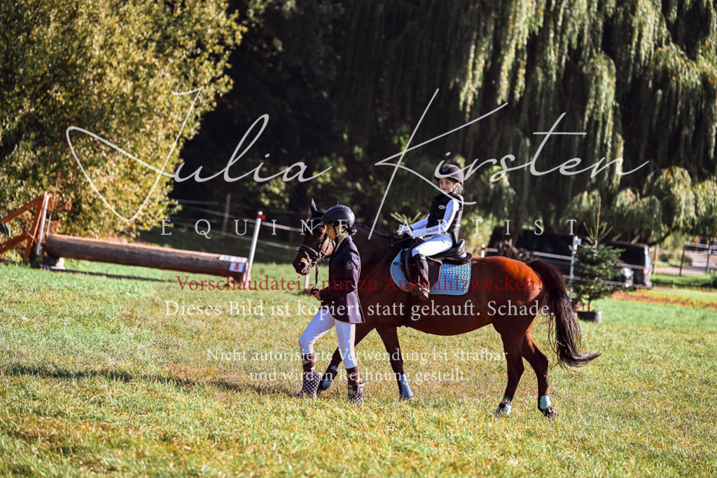 DSC_0261 | Pferde- und Turnierfotografie in Westsachsen. Pferdeportraits, Auftragszeichnungen und intuitive Kunst.