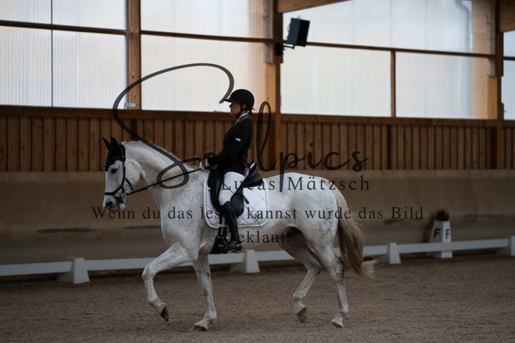 A7V02139 | Pferdefotograf