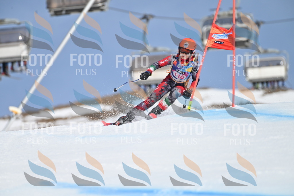 BGV_9726 | holidayphoto