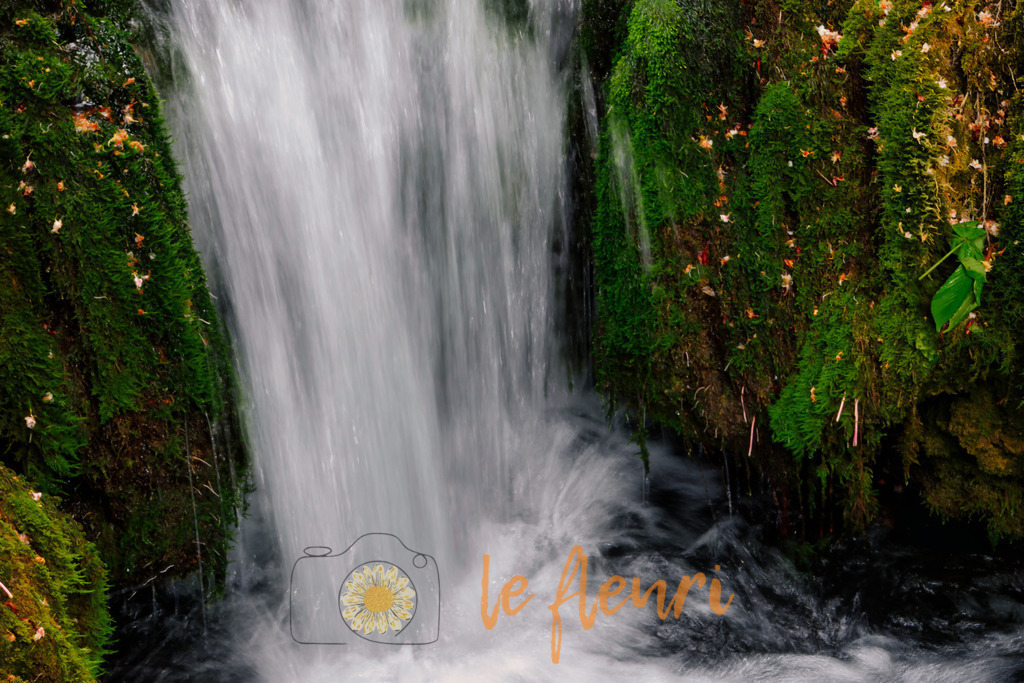 DSC_0072-NEF_DxO_DeepPRIME (2) | Dies ist der Shop von Florian Blum - le fleuri. Langenthal, Bern, SchweizSie können hier meine oder ihre eigenen Fotos als Fotoprodukte kaufen. Tassen, Schlüsselanhänger, Taschen etc. können Sie hier gestalten.  - Realisiert mit Pictrs.com