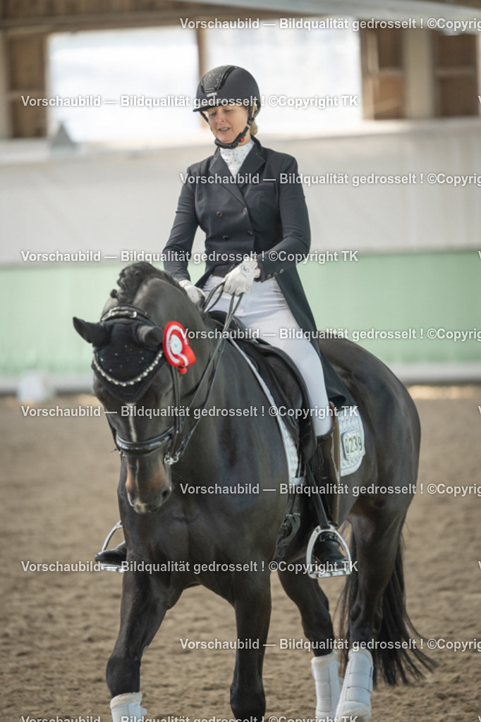 _D5A2553 | Emotionale Pferde- & People-Fotografie rund um Heidelberg, Leimen & Umgebung. Natürliche Fotos von Pferd, Mensch & Familie. Jetzt Termin sichern!