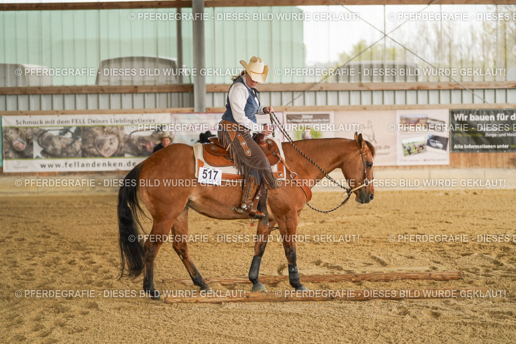 DSC05102 | Pferdegrafie