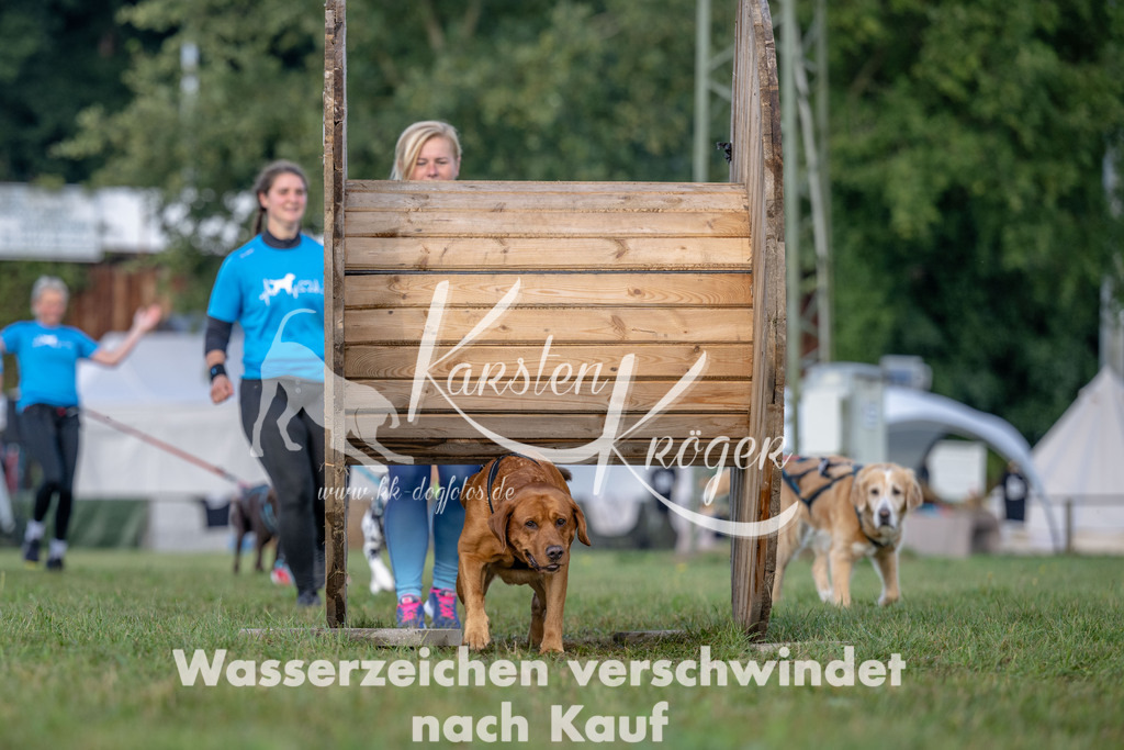 1013_ZZ91833 | kk-dogfotos