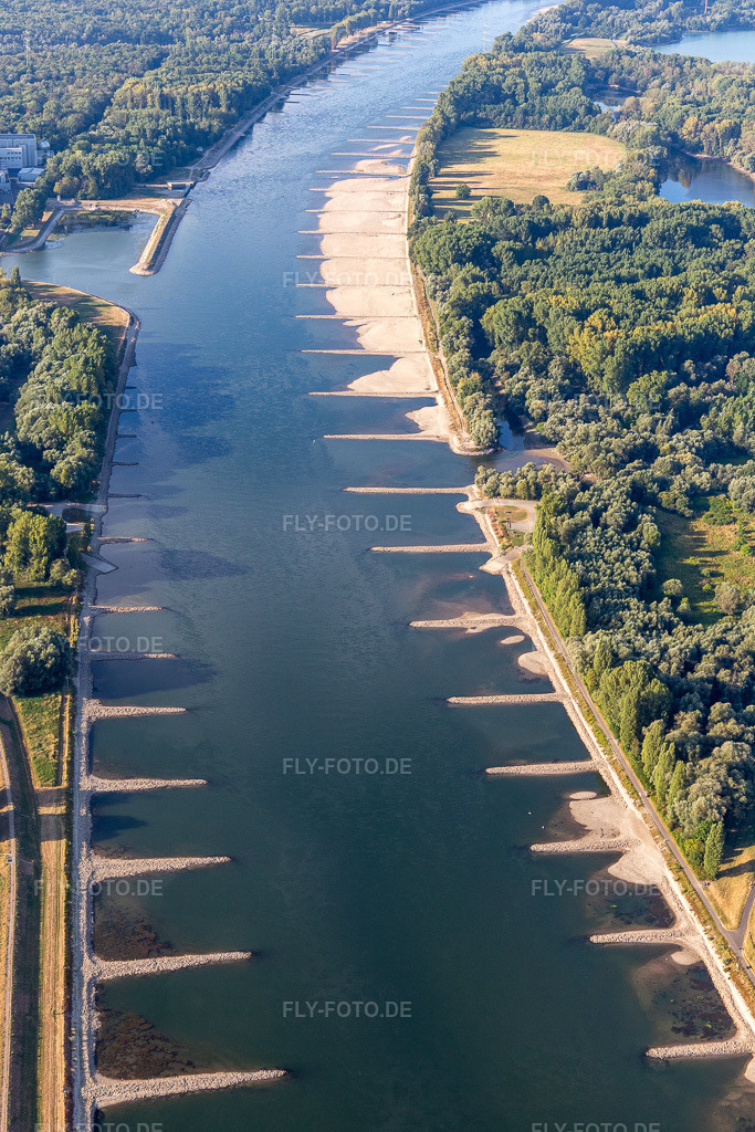 Luftbild: trockengefallene Buhnen und Sandbänke im Rhein wegen Niedrigwasser im Ortsteil Maximiliansau in Wörth im Bundesland Rheinland-Pfalz in Deutschland. Foto: IMG_133764.jpg vom 14.08.2022 durch Werner Riehm/FLY-FOTO.de