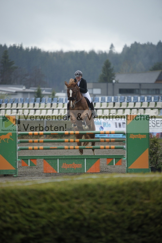 _DSC6342 | equestrian-live-com