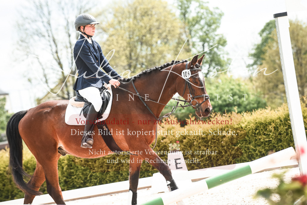 20230518_JK-Röhrsdorf-10-099 | Pferde- und Turnierfotografie in Westsachsen. Pferdeportraits, Auftragszeichnungen und intuitive Kunst.