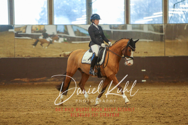 IMG_7127 | Turniersportfotografie; Pferdefotografie; Dressurfotografie