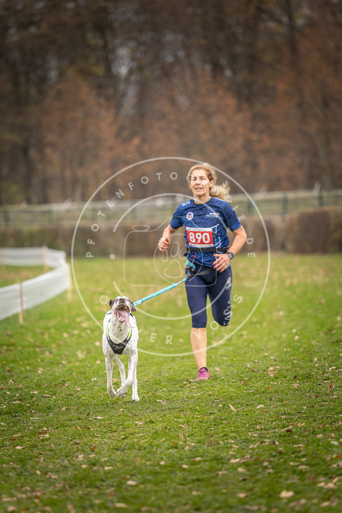 CaniXpix_DV3A6872 | Hundefotografie, Tierfotograf, Pfotenfotografie, Fotoshooting Hund, Hunde Portrait, Hundesport, Hundeportraits, Heideshooting, Hunde, Sportfotograf, Hundefotograf, Turnierhundsport, THS,  - Realisiert mit Pictrs.com
