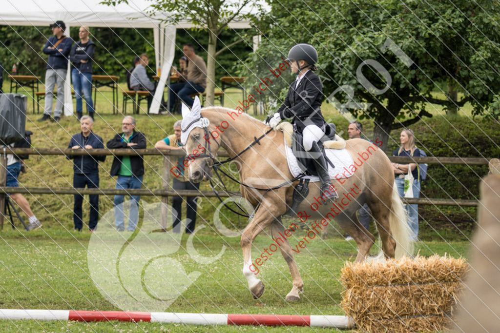 IMG_1800 | Sport-, Event- und Tierfotos in Profiqualität. Einfach auswählen, bestellen und herunterladen. Dein Moment – perfekt festgehalten.