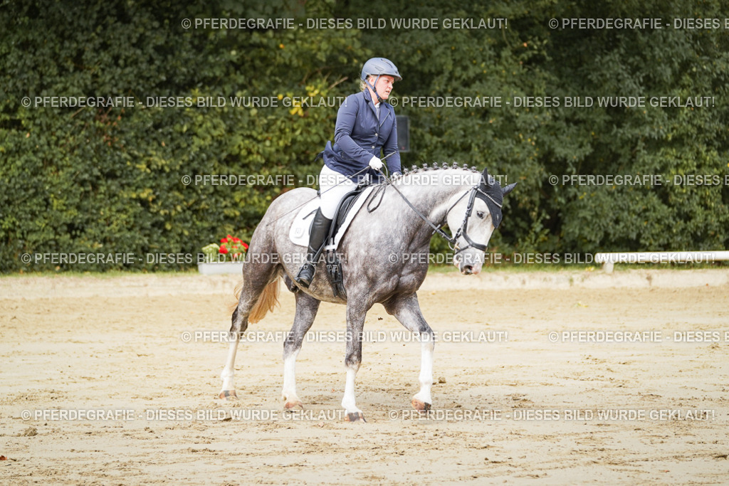 DSC01687 | Pferdegrafie