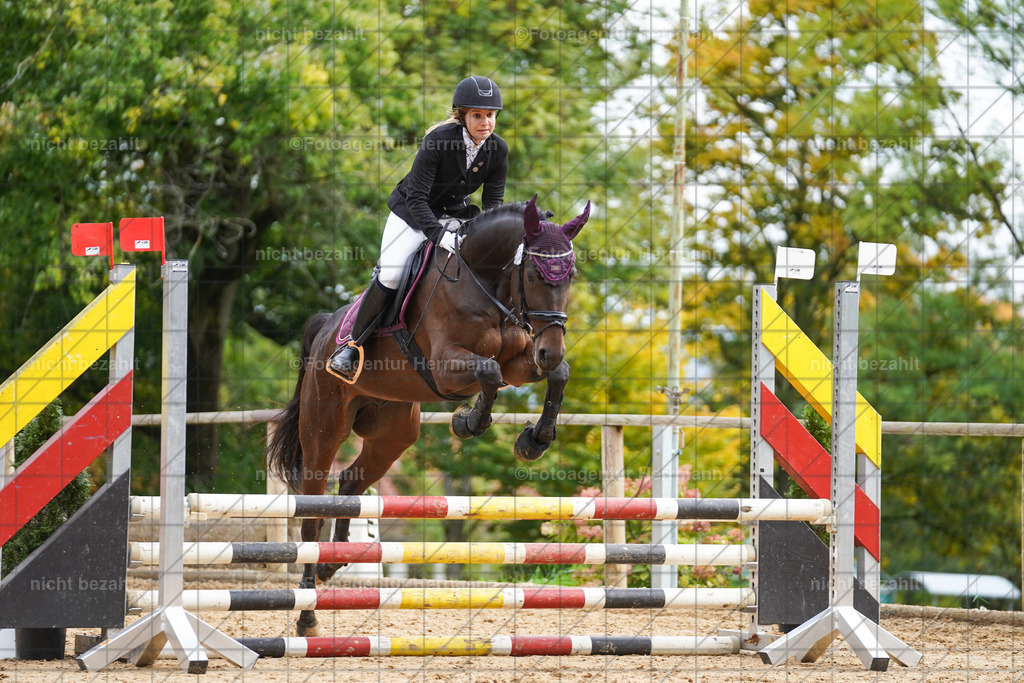 20221009-FAH08463 | Diessen am Ammersee, 2022, Dressur- und Springturnier, Reitsportbilder, Turnierfotografen Bayern, Pferdefotografen, Fotoagentur Herrmann, Turnierbilder