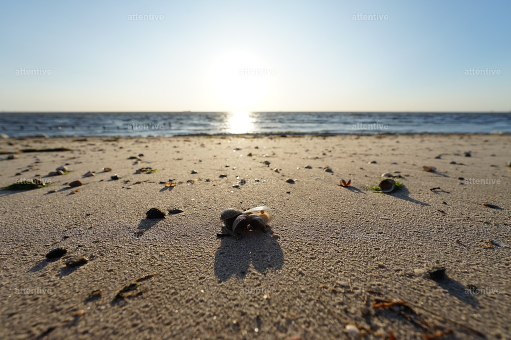 Morgentraum | Schillig, Deutschland - Realisiert mit Pictrs.com