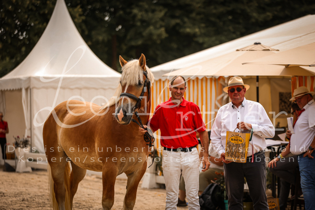 3.Sa00099 | Leoni Ertmer Photography - Realisiert mit Pictrs.com