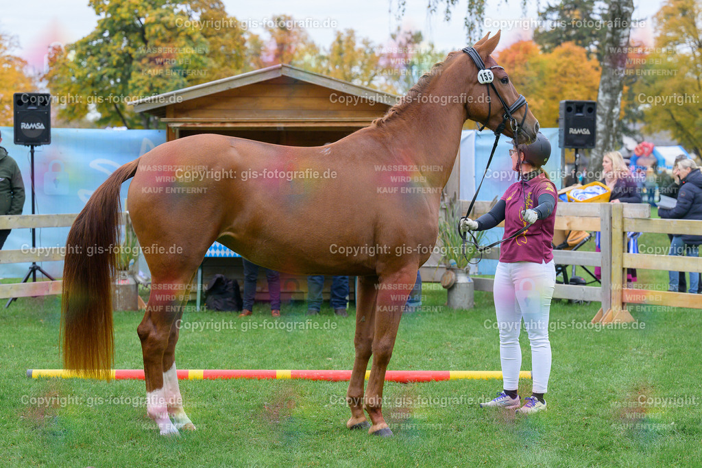 155_Ma-Bella_v.Va-Bene_Wiegand_251018_03_gis | gis-fotografie