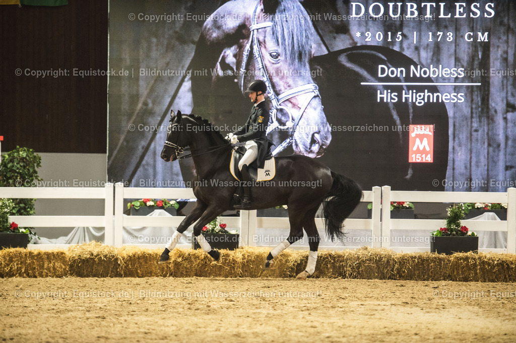 20240302_Hengstvorstellung_Marbach_TOMsPiC_1544 | equistock