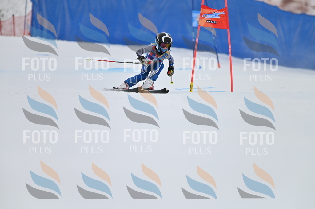 BGV_1824 | holidayphoto