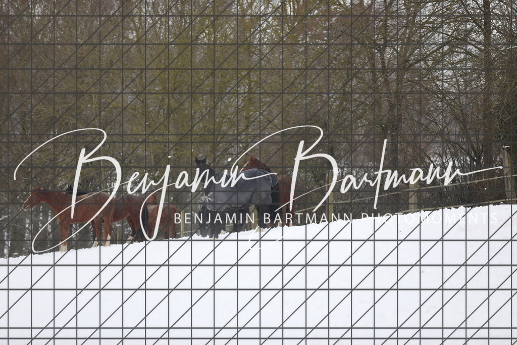 AZ2A3396 | Benjamin Bartmann Photomoments