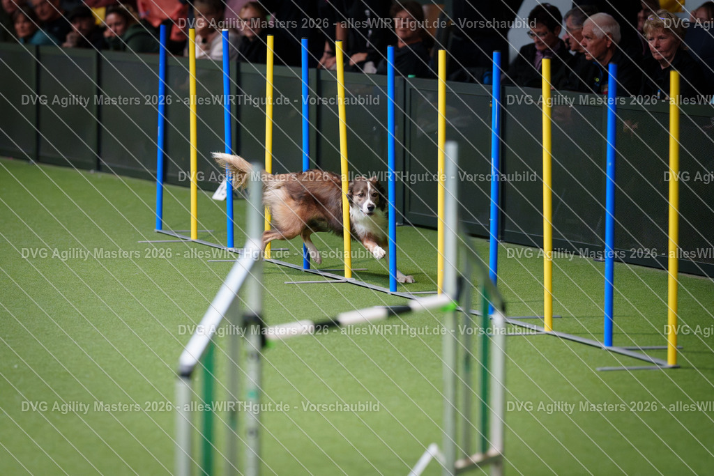 allesWIRTHgut_Tierfotografie-DVG_Agility_Masters_2026-09_40-7R502380 | Professionelle Tierfotografie in Mönchengladbach von Daniel Wirth (allesWIRTHgut). Liebevolle & natürliche Bilder von Hunden & Katzen für unvergessliche Erinnerungen.