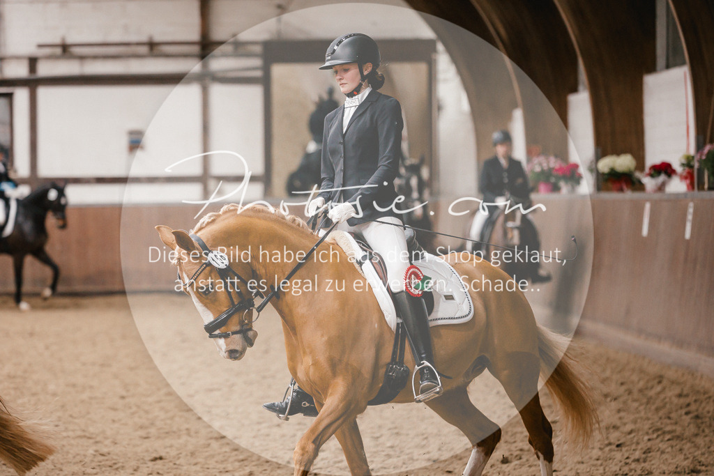 3I6A8040 | Stimmungsvolle Portraits und Reitsportfotografie im Ruhrgebiet und im Münsterland.

Pferdefotografie, Hundefotografie, Tierfotografie, Reportagen, Portraits von Tier und Mensch, Turnierfotografie in Bochum, Recklinghausen, Marl, Haltern am See, Dülmen.. - Realisiert mit Pictrs.com