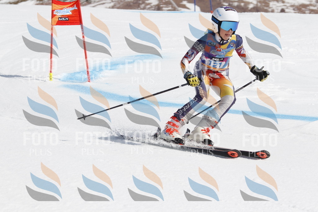 _U3G0720 | holidayphoto