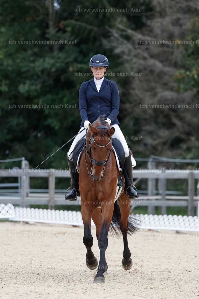3-021-Dressur M_-StoibPH-2267 | working equitationturnier fotograf videograf stoibphotography marixx film working equitation deutschland reitsport turnierfotografie eventfotografie equestrian events