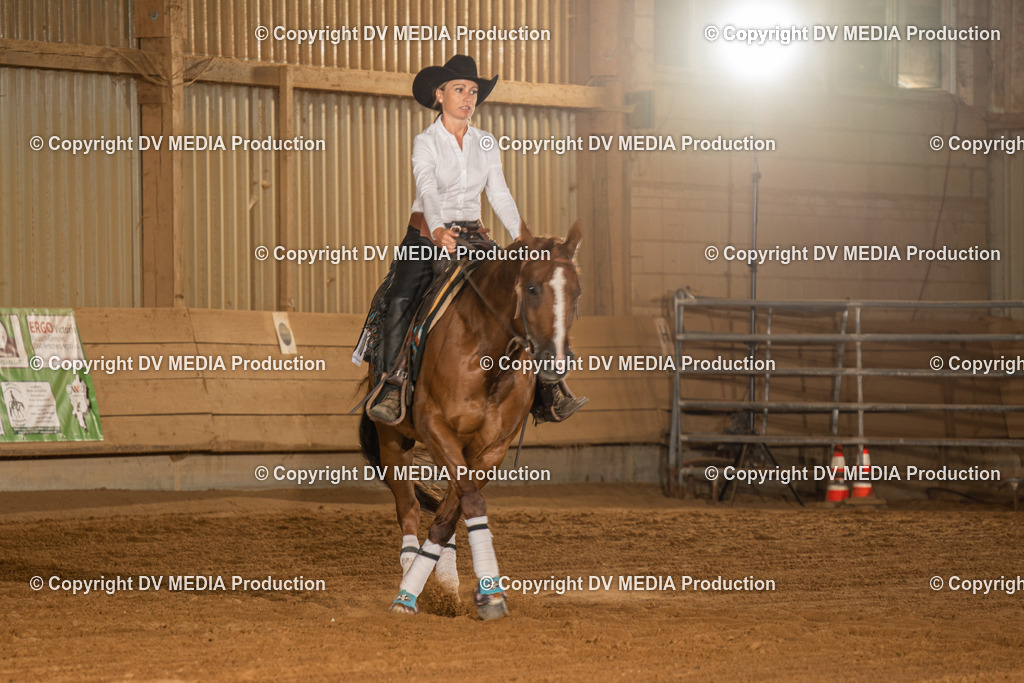 NID03966 | dv-media-shop - Realisiert mit Pictrs.com