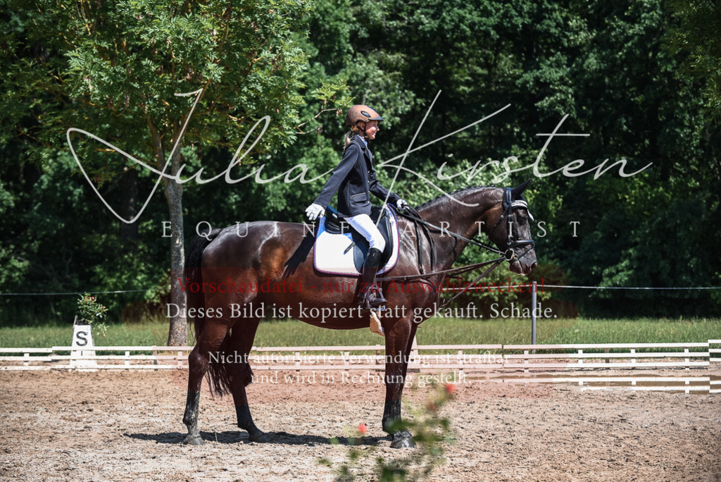 DSC_2834 | Pferde- und Turnierfotografie in Westsachsen. Pferdeportraits, Auftragszeichnungen und intuitive Kunst.