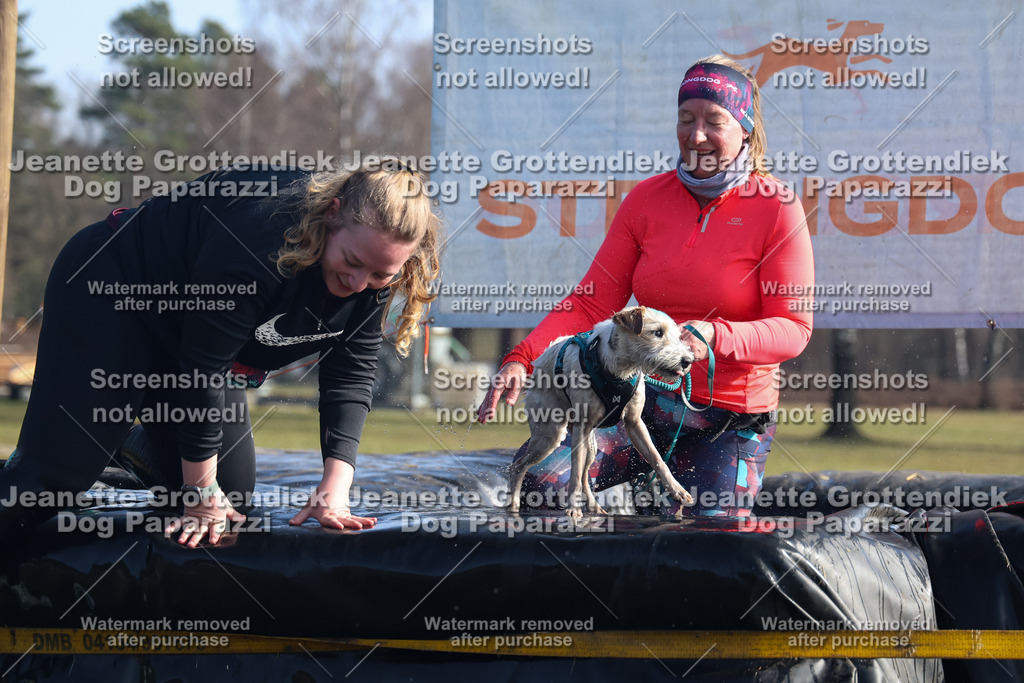 Dog Paparazzi - Strongdog North Mrz26-1292 | Dog Paparazzi Jeanette Grottendiek Fotografie & Videografie - Realisiert mit Pictrs.com